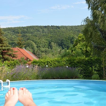 Villa Sonnenseite Jonsdorf Экстерьер фото
